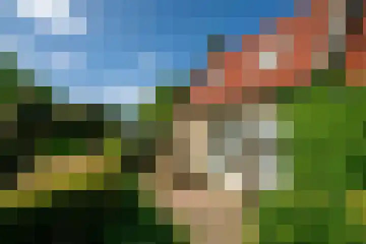 Haulewei 24 Wijnaldum thumbnail 46