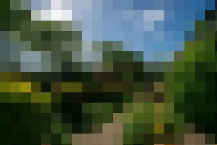 Haulewei 24 Wijnaldum thumbnail 47