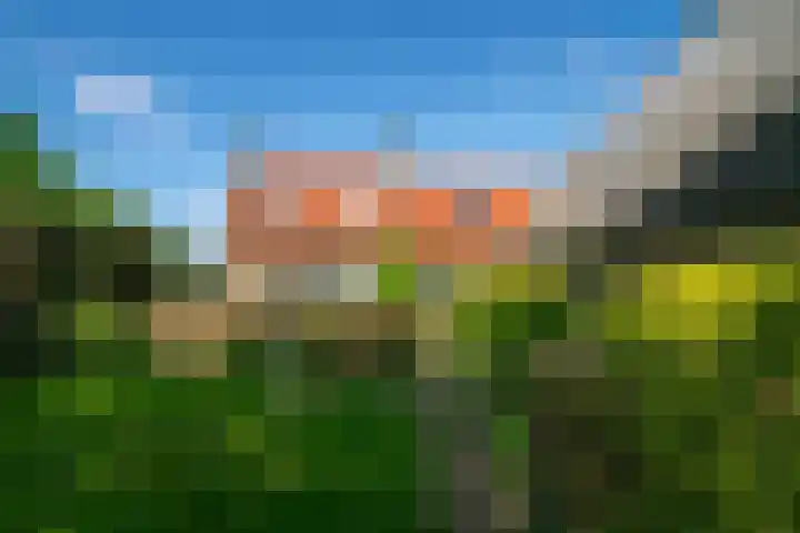 Haulewei 24 Wijnaldum thumbnail 48