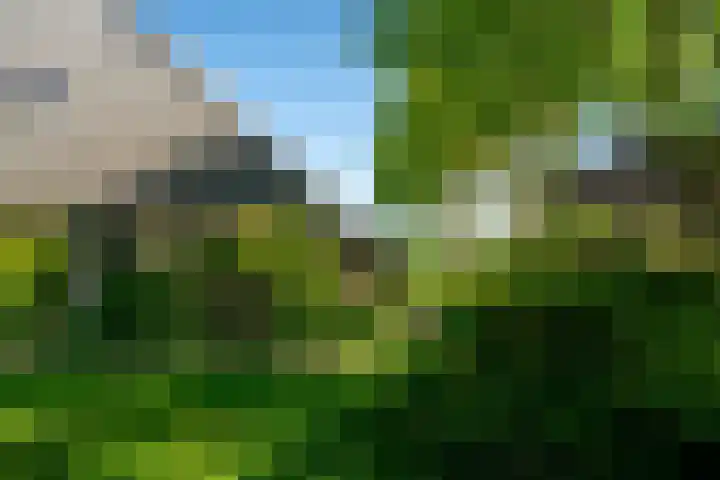 Haulewei 24 Wijnaldum thumbnail 49