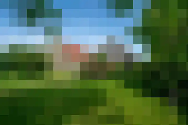 Haulewei 24 Wijnaldum thumbnail 50
