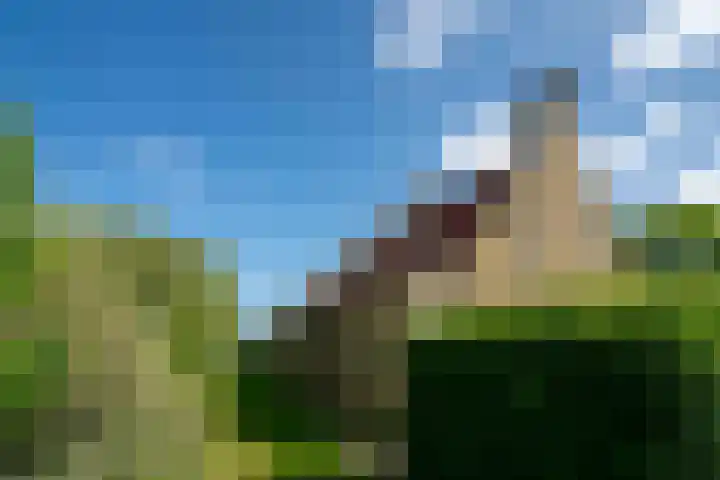Haulewei 24 Wijnaldum thumbnail 52