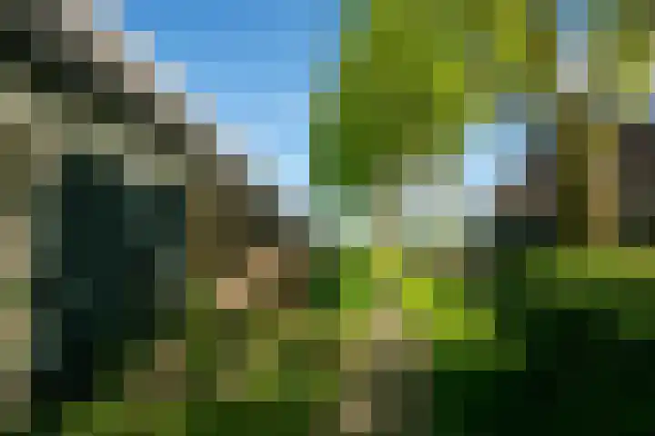 Haulewei 24 Wijnaldum thumbnail 55