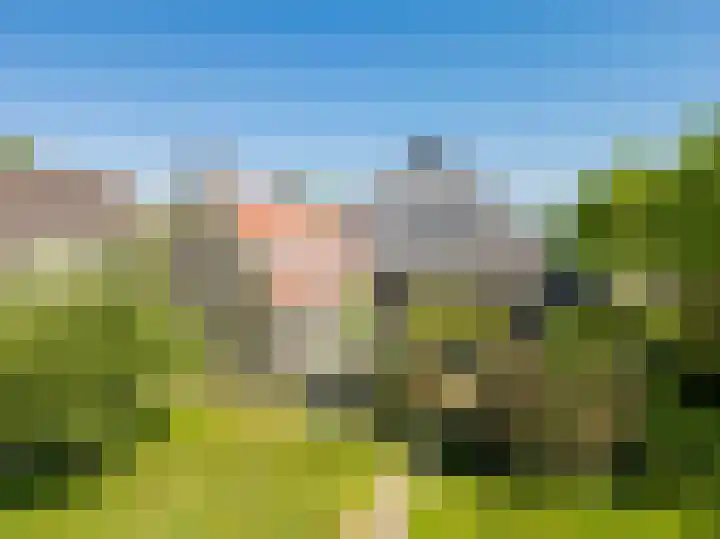 Haulewei 24 Wijnaldum thumbnail 63