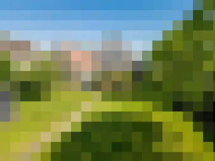 Haulewei 24 Wijnaldum thumbnail 8