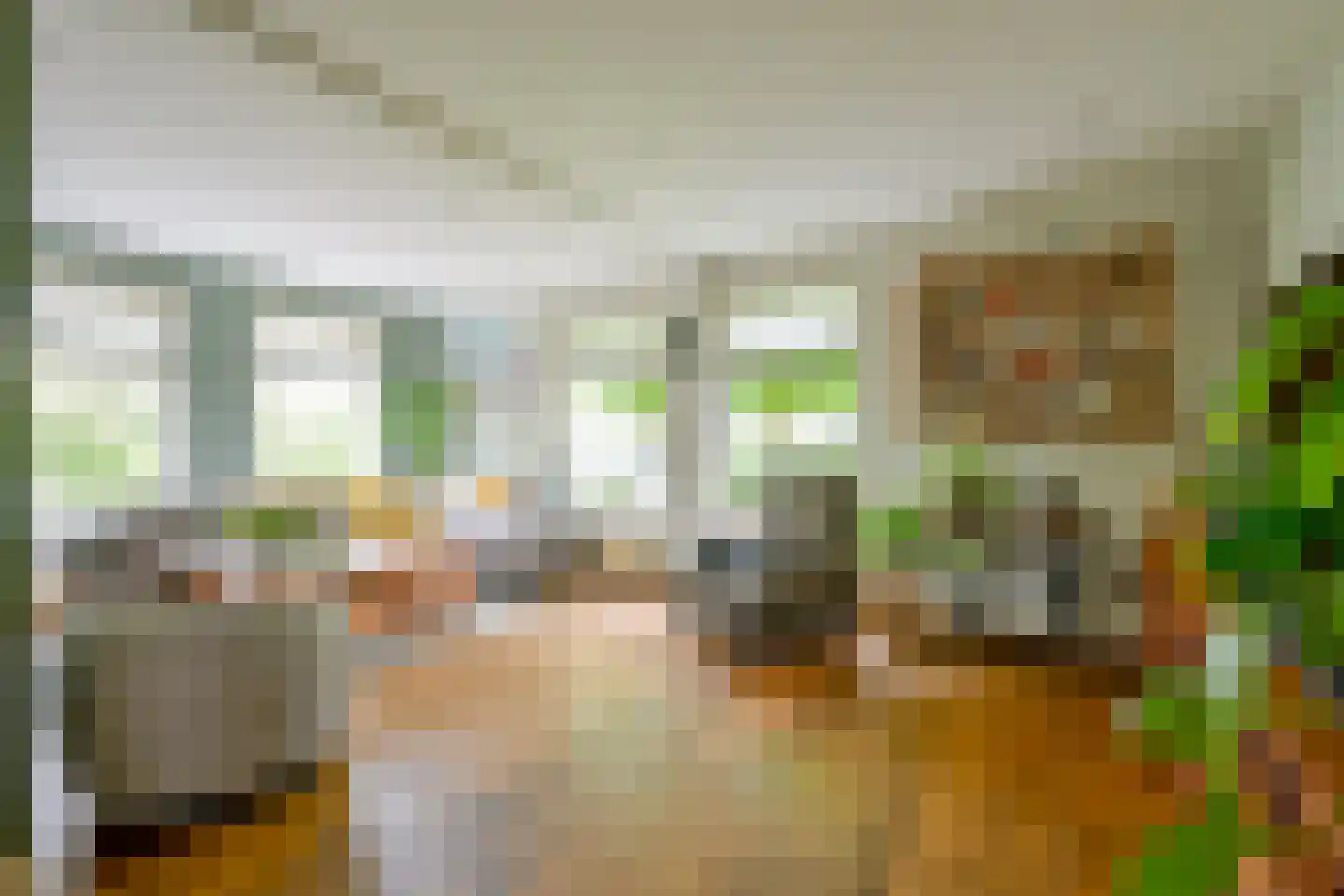 Hauwert 54 Hauwert thumbnail 11