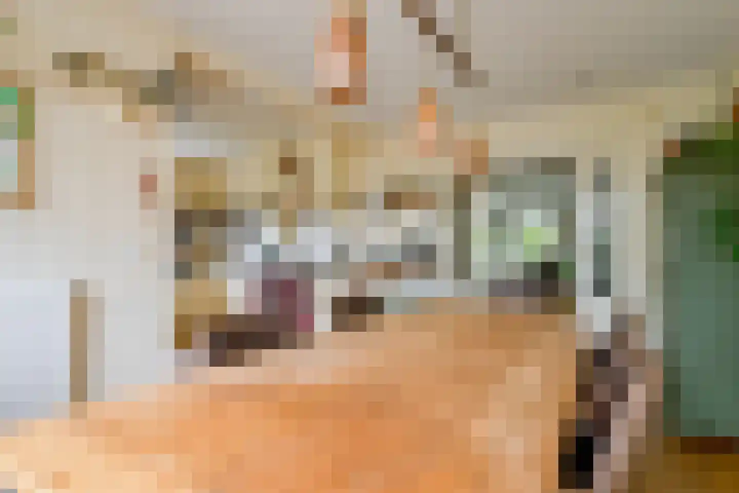 Hauwert 54 Hauwert thumbnail 15
