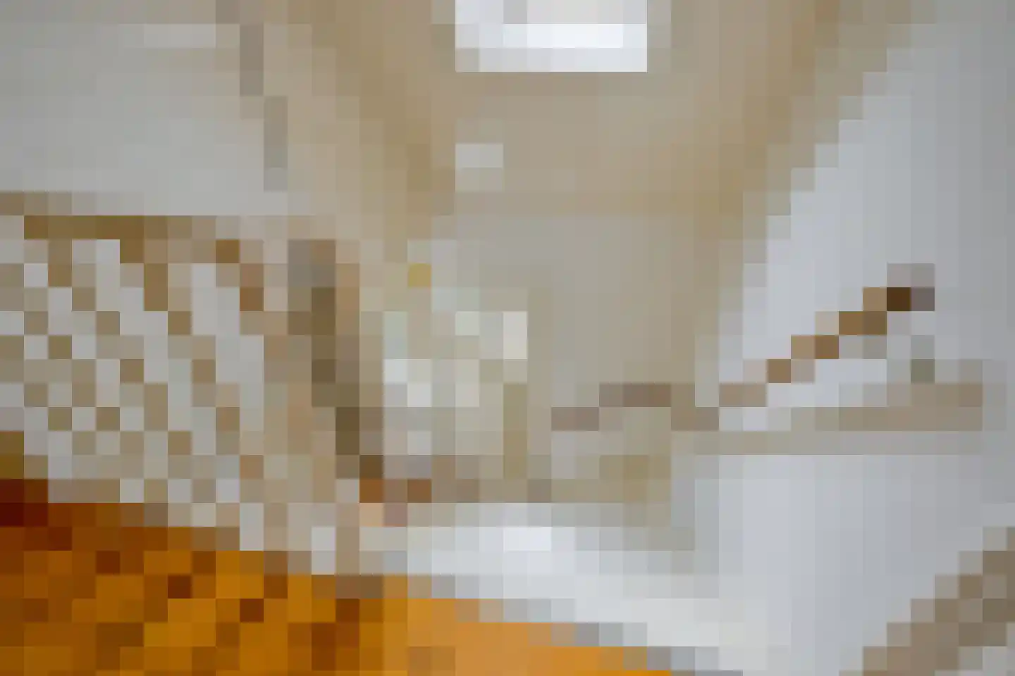 Hauwert 54 Hauwert thumbnail 23