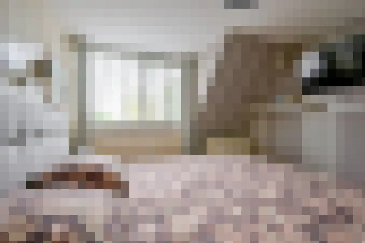 Hauwert 54 Hauwert thumbnail 26