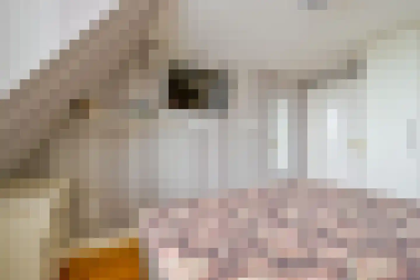 Hauwert 54 Hauwert thumbnail 27