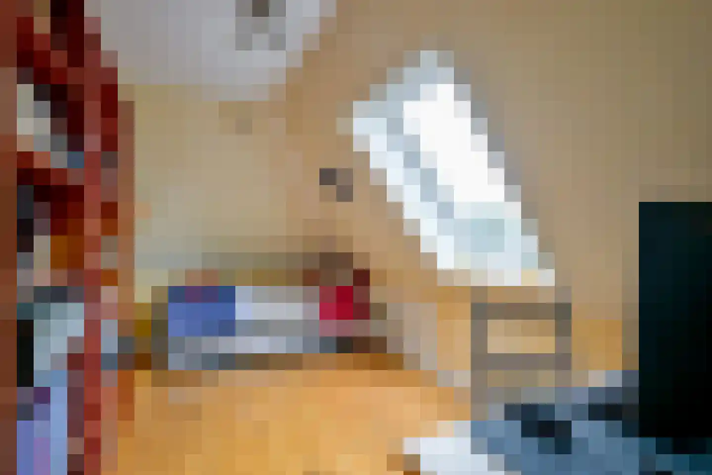 Hauwert 54 Hauwert thumbnail 28