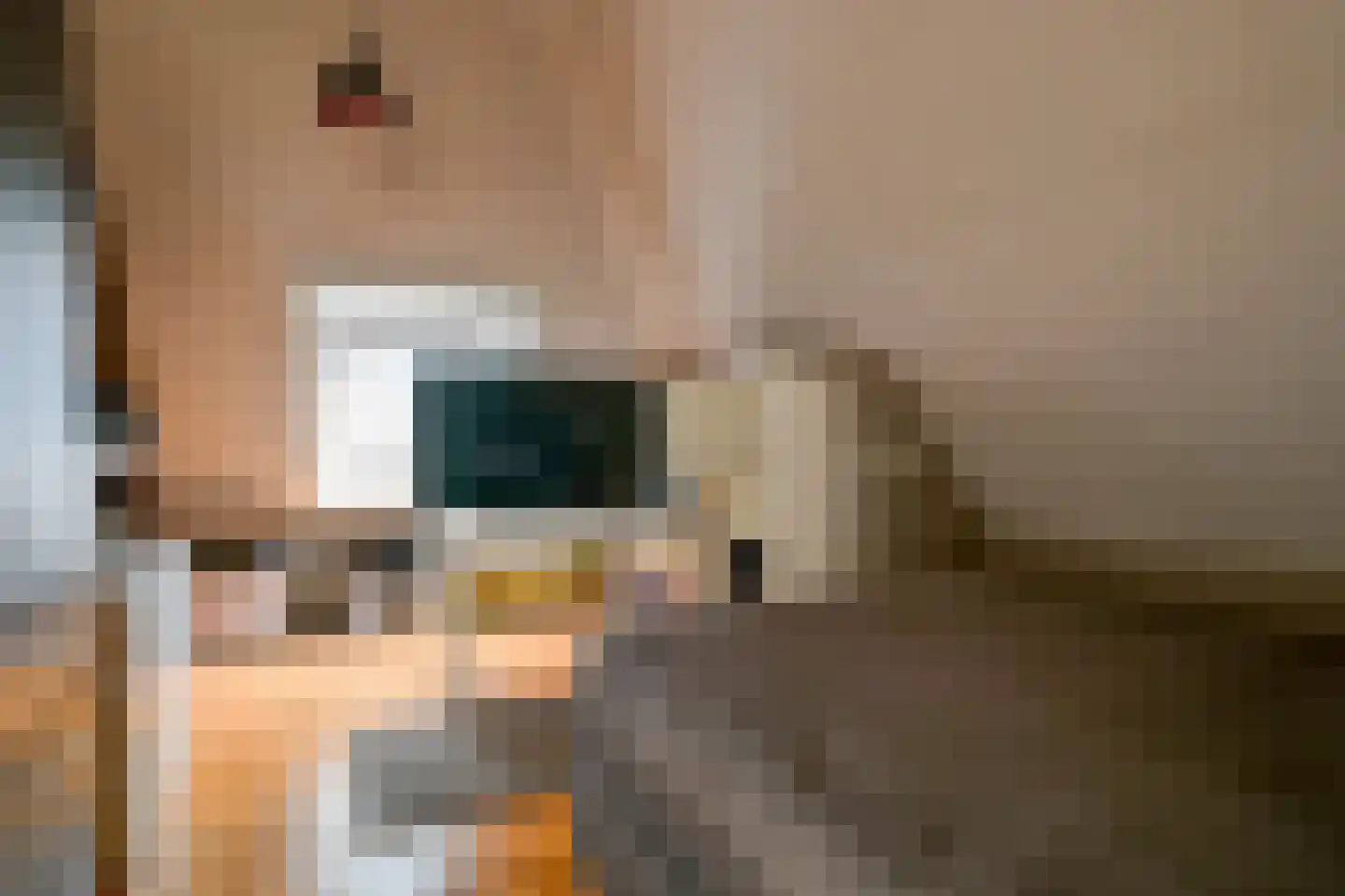 Hauwert 54 Hauwert thumbnail 33