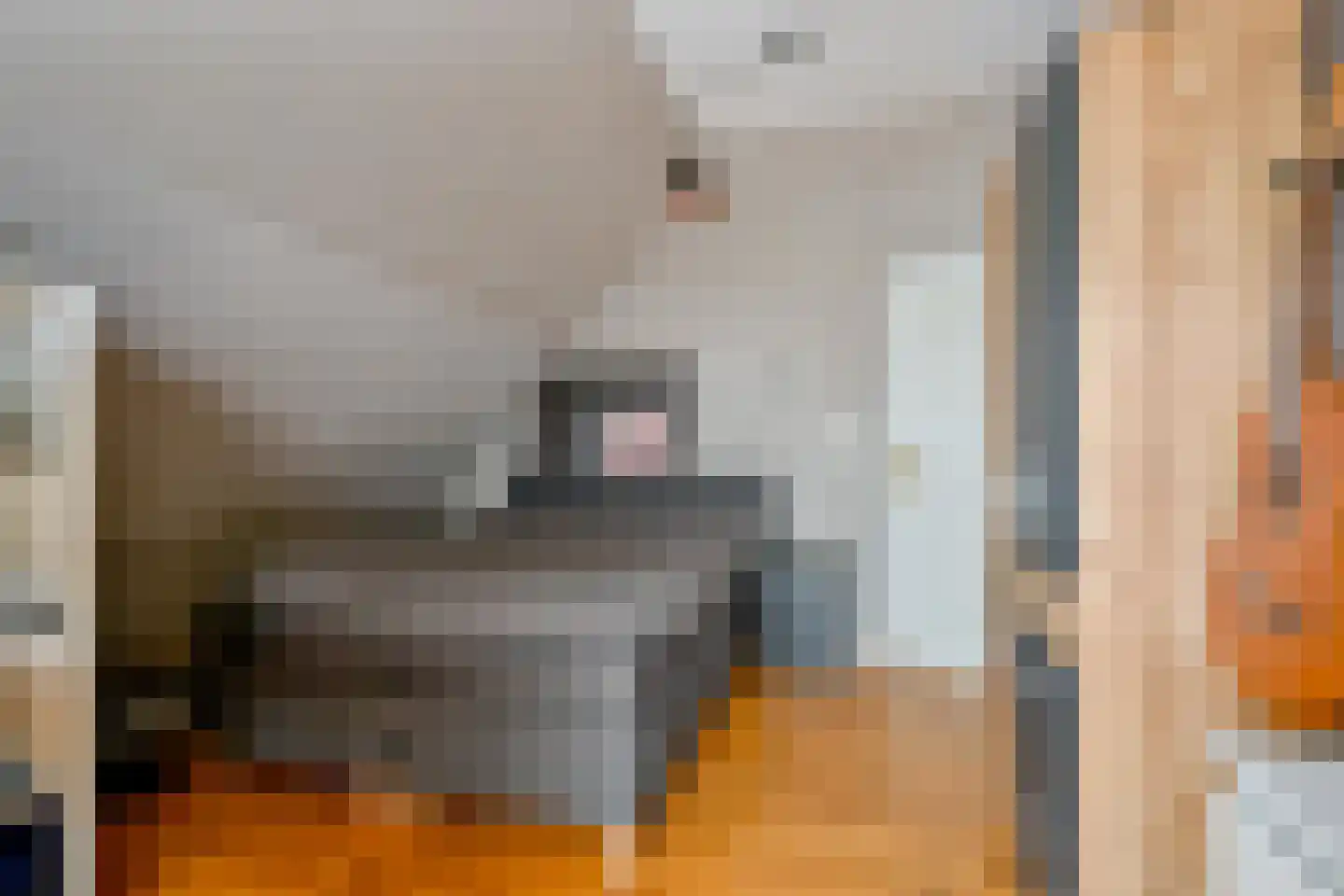 Hauwert 54 Hauwert thumbnail 34