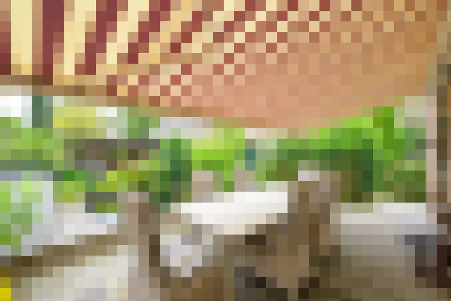 Hauwert 54 Hauwert thumbnail 36