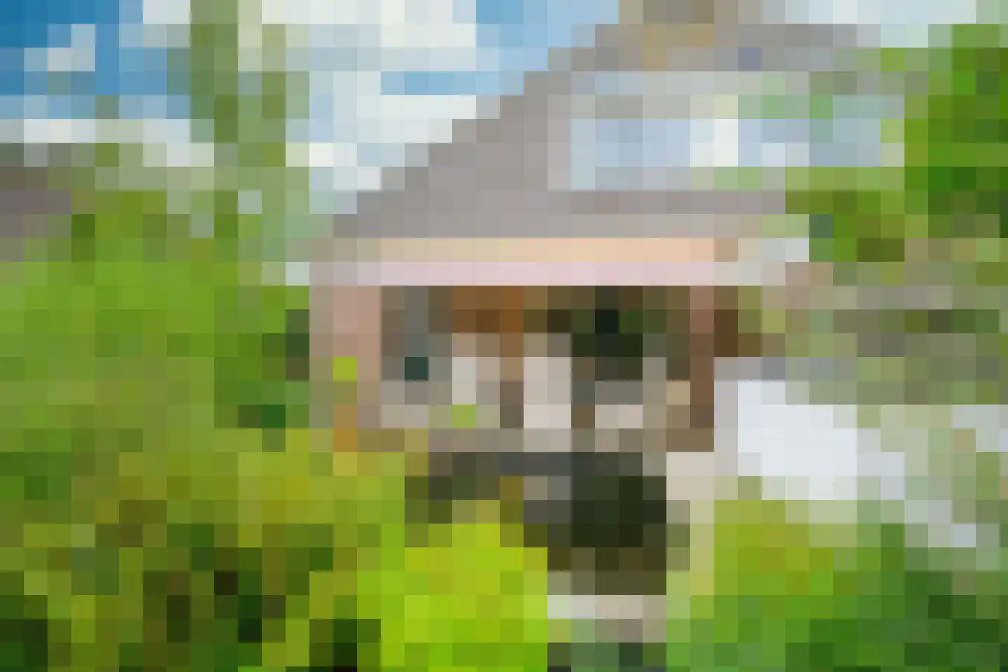 Hauwert 54 Hauwert thumbnail 38