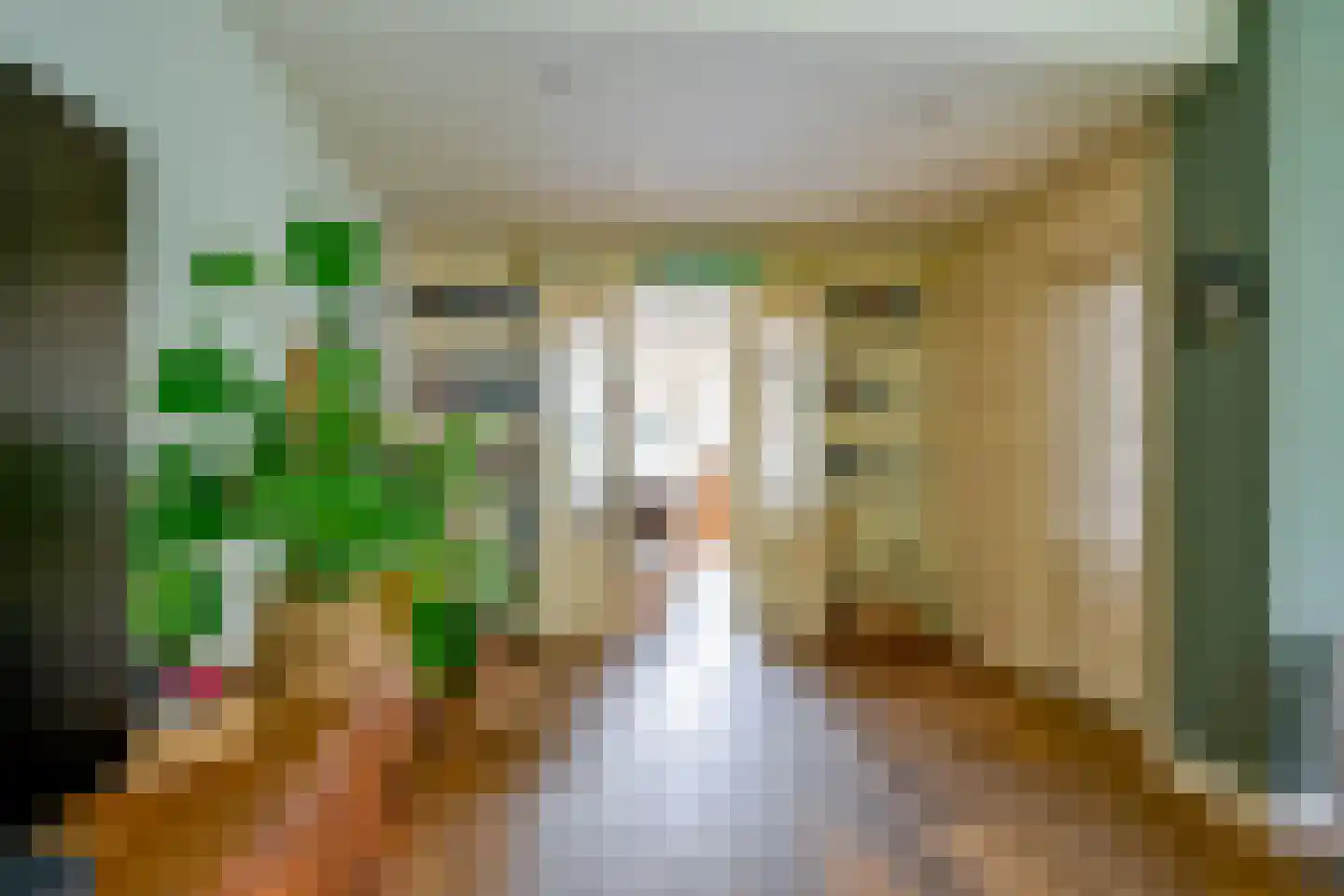 Hauwert 54 Hauwert thumbnail 4