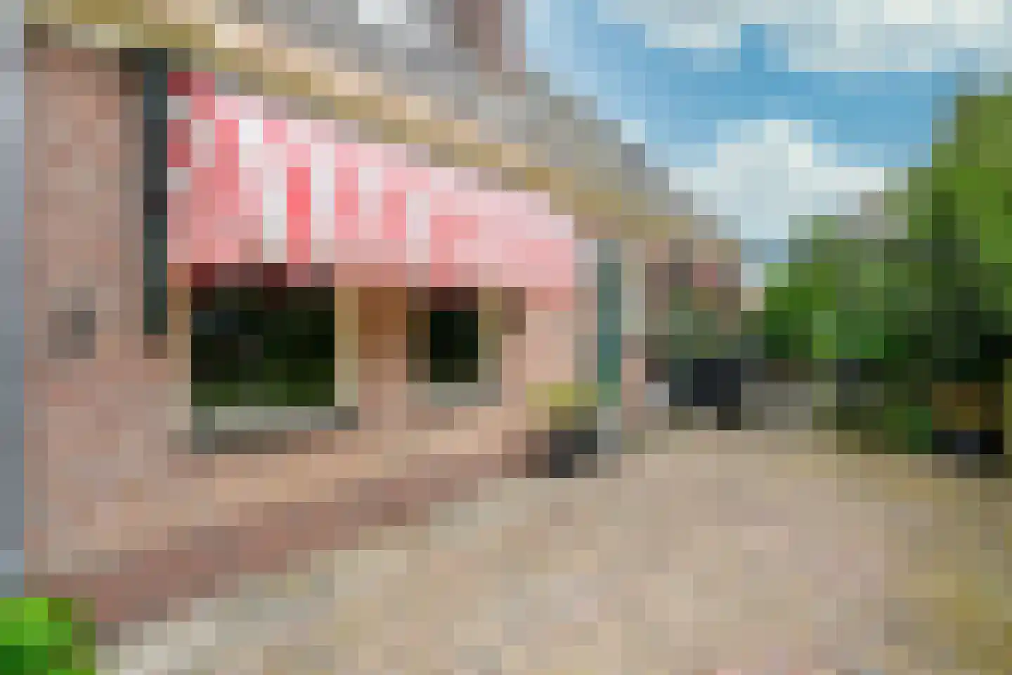 Hauwert 54 Hauwert thumbnail 40