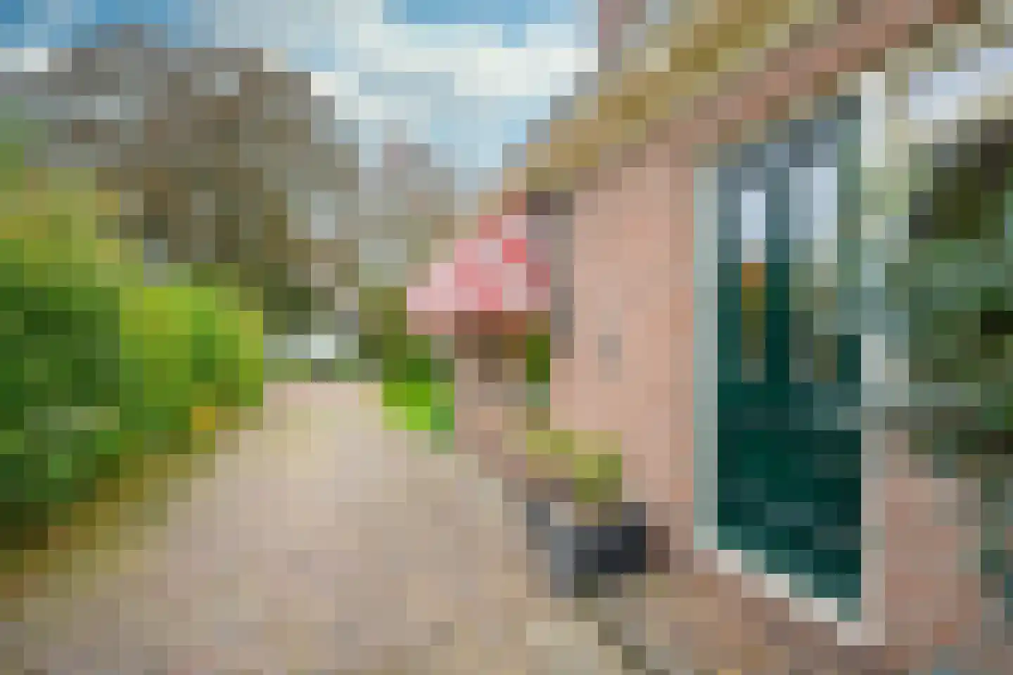 Hauwert 54 Hauwert thumbnail 41