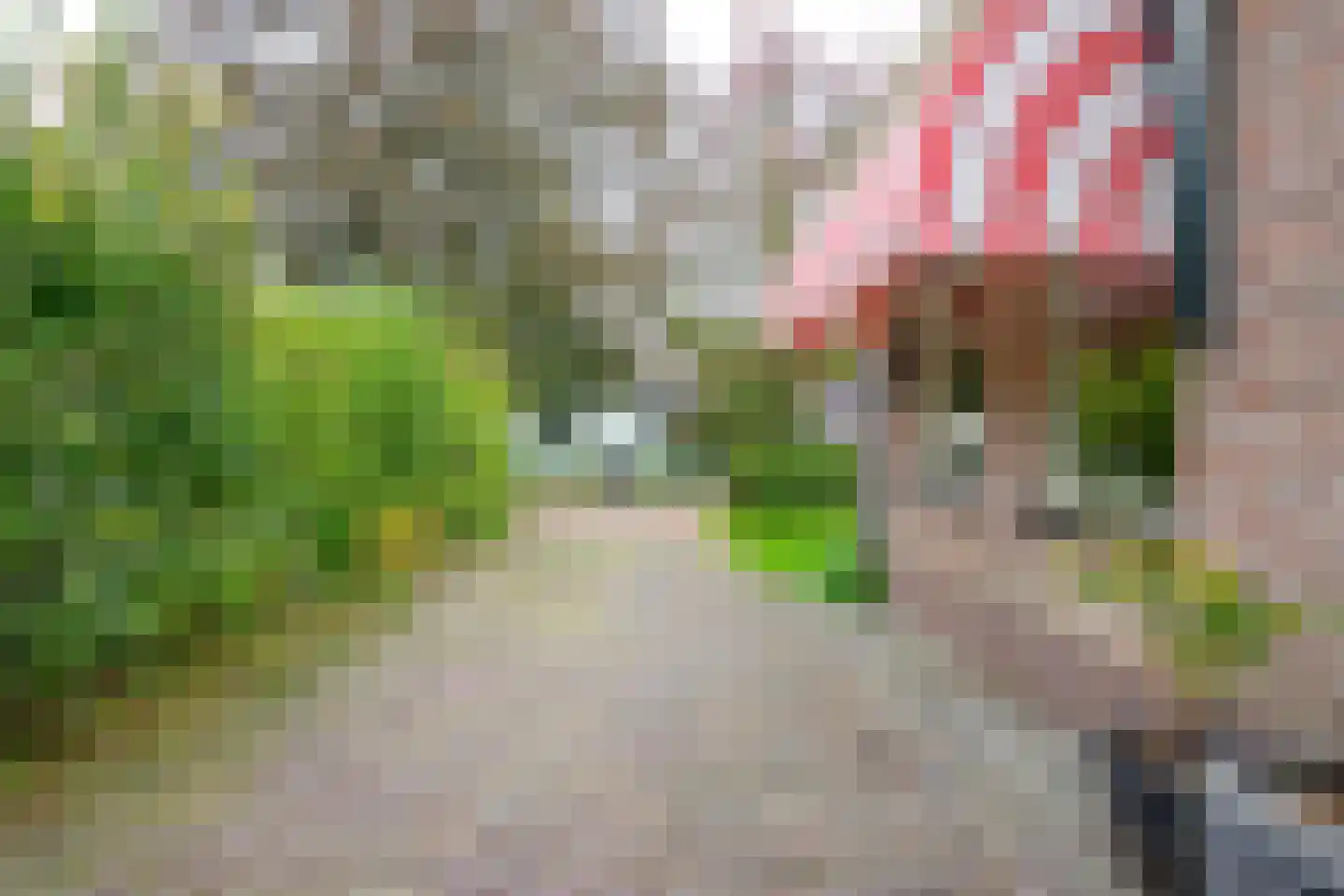 Hauwert 54 Hauwert thumbnail 42