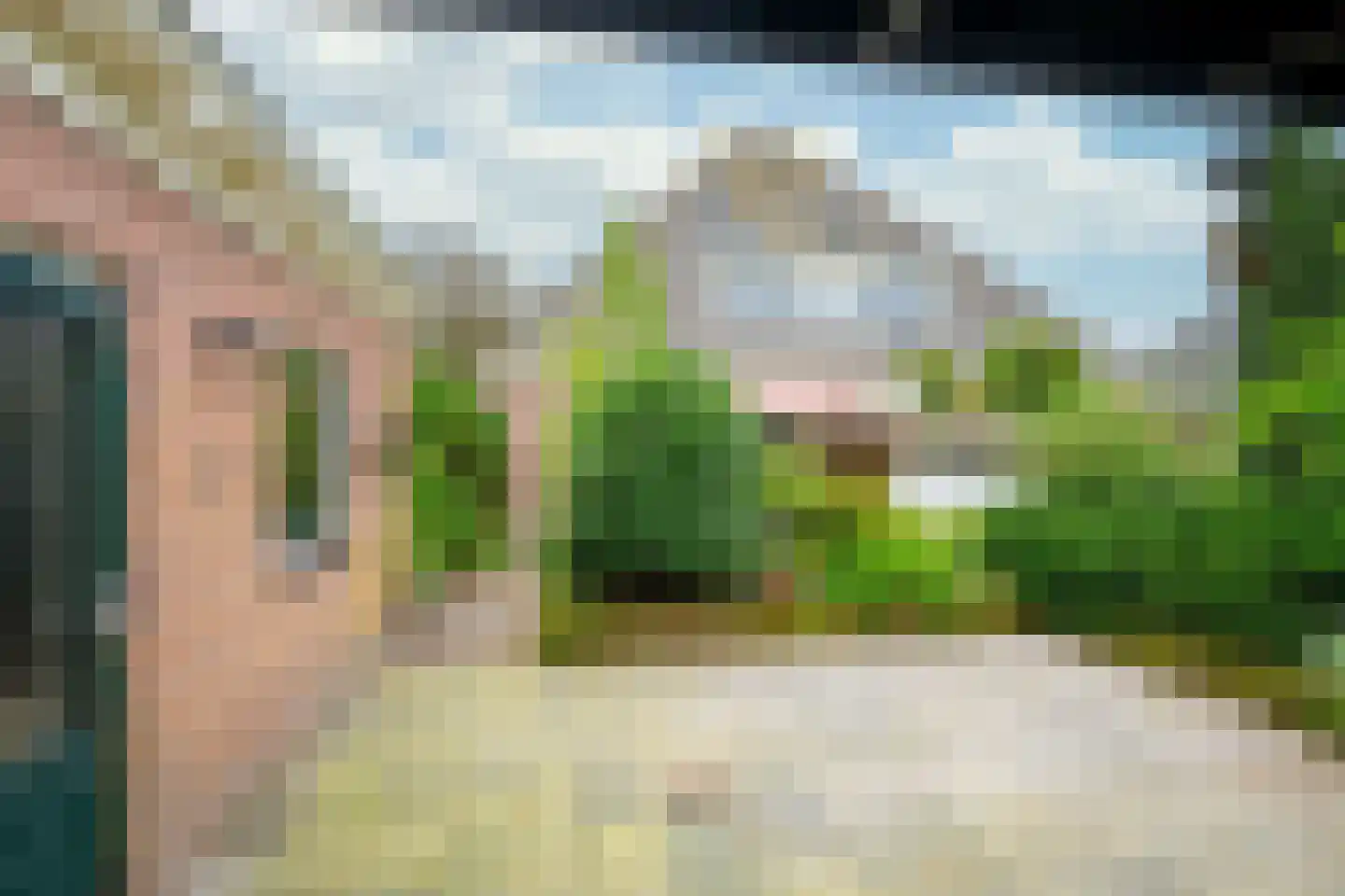 Hauwert 54 Hauwert thumbnail 43