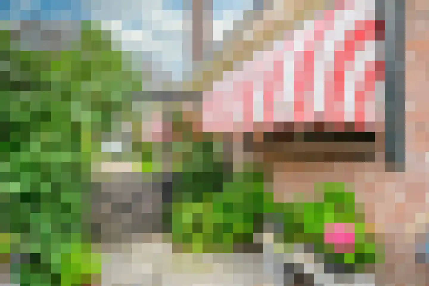 Hauwert 54 Hauwert thumbnail 44
