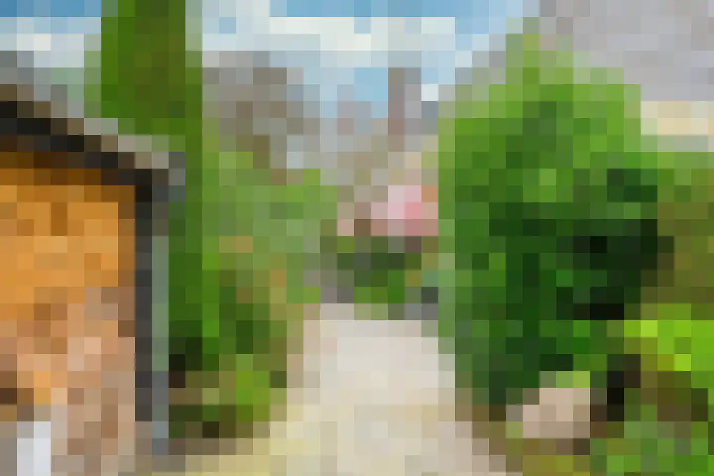 Hauwert 54 Hauwert thumbnail 46