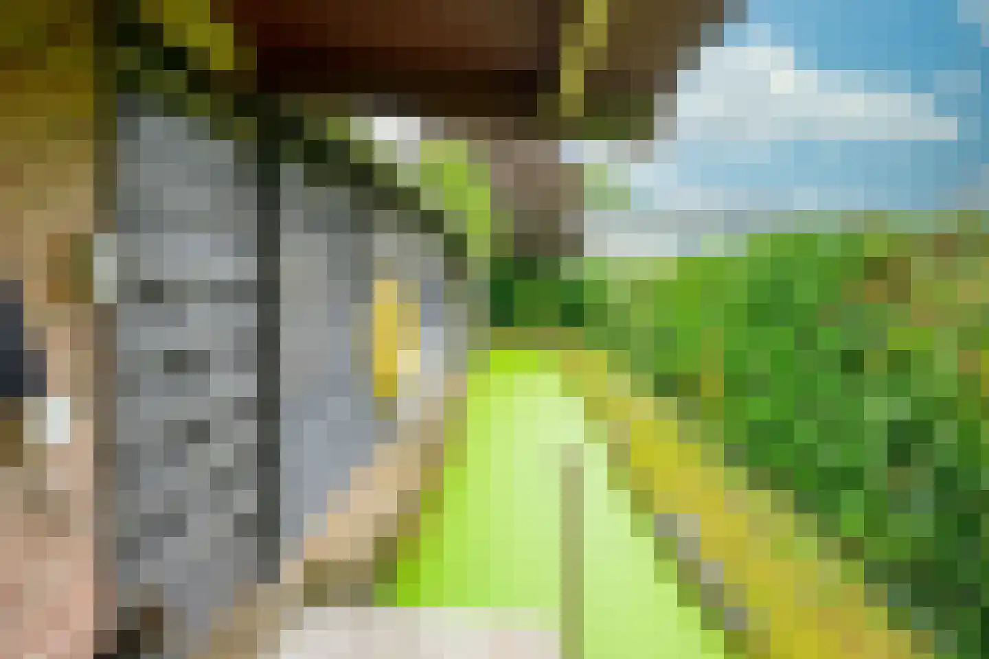 Hauwert 54 Hauwert thumbnail 47