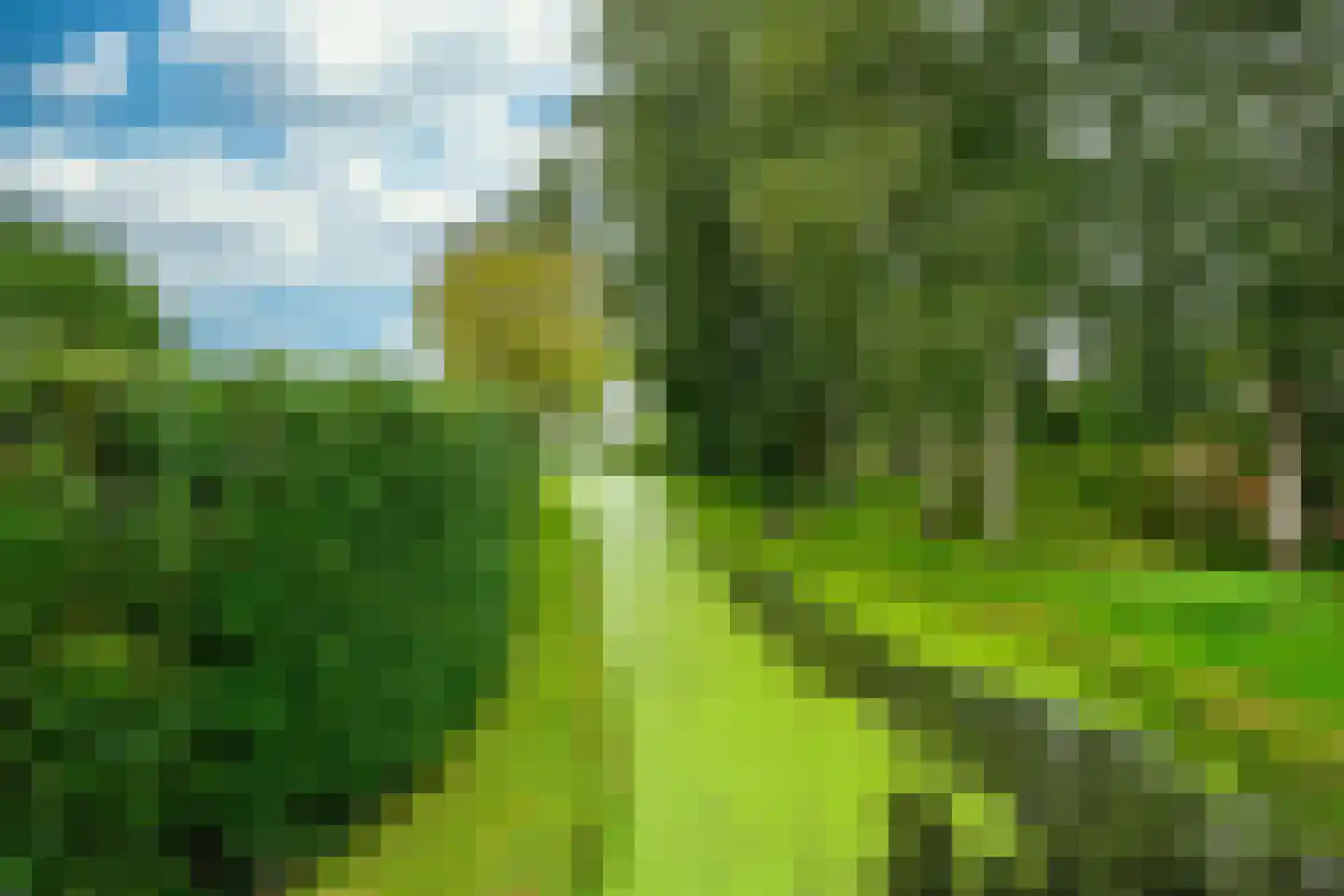 Hauwert 54 Hauwert thumbnail 48