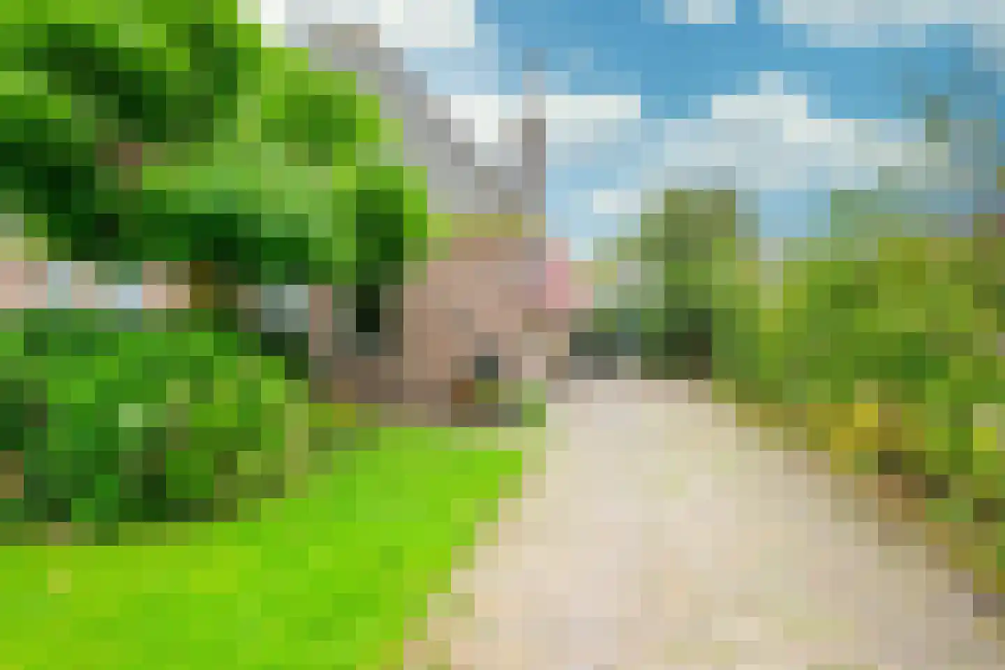 Hauwert 54 Hauwert thumbnail 49
