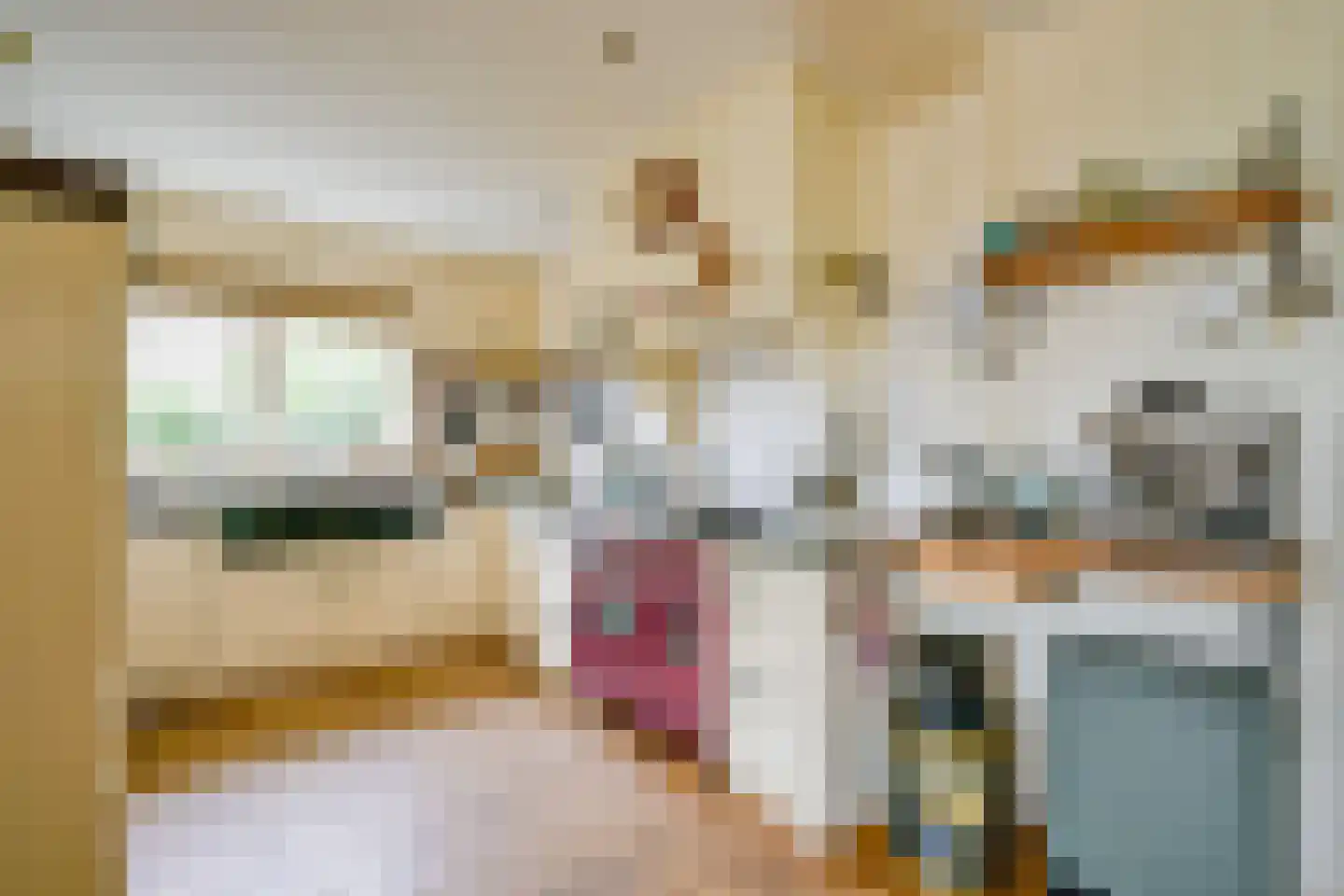 Hauwert 54 Hauwert thumbnail 5