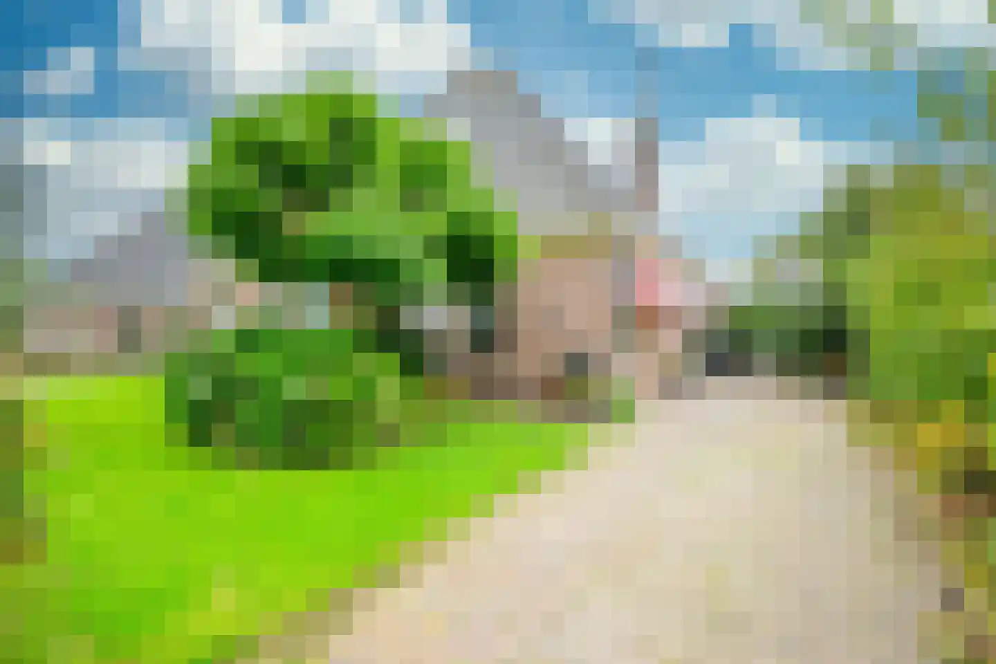 Hauwert 54 Hauwert thumbnail 50