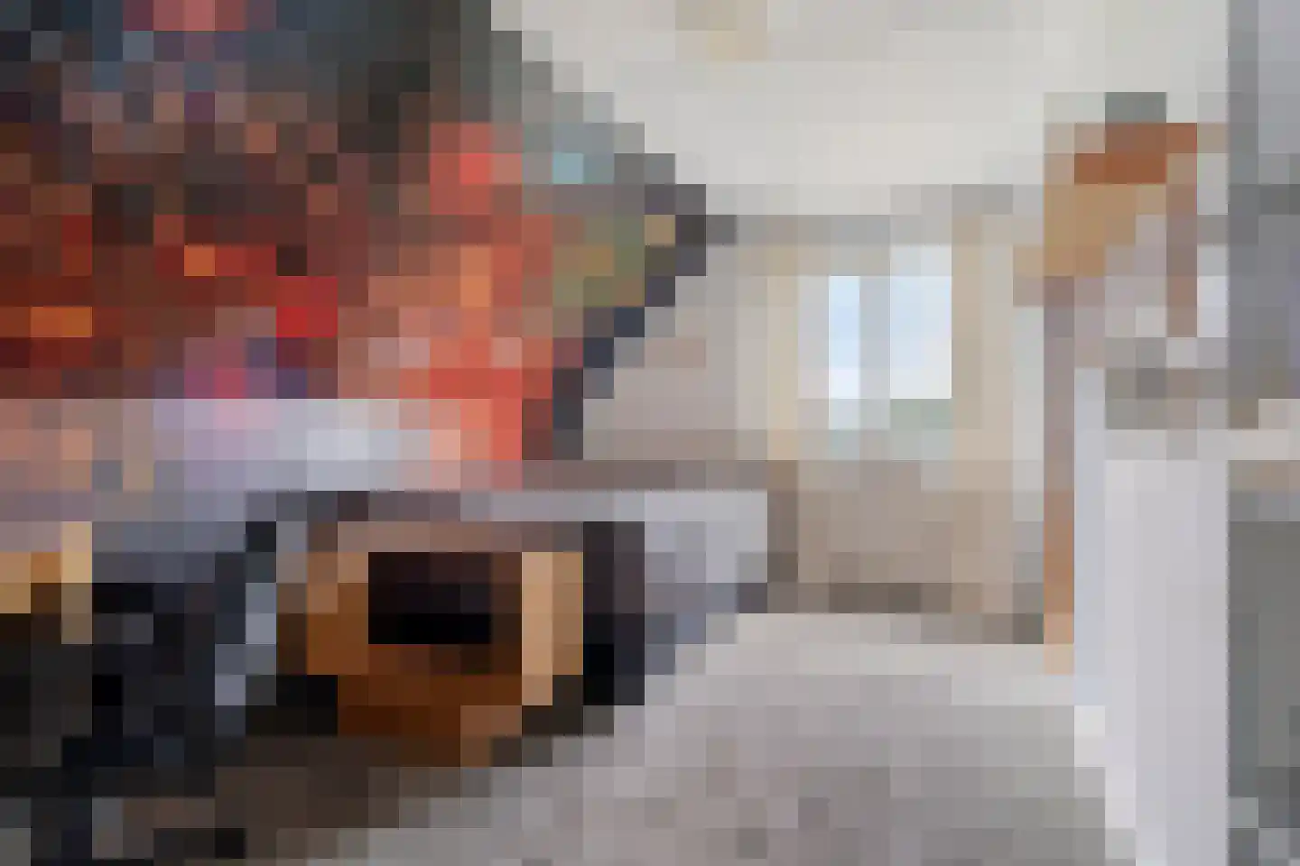 Hauwert 82 Hauwert thumbnail 16