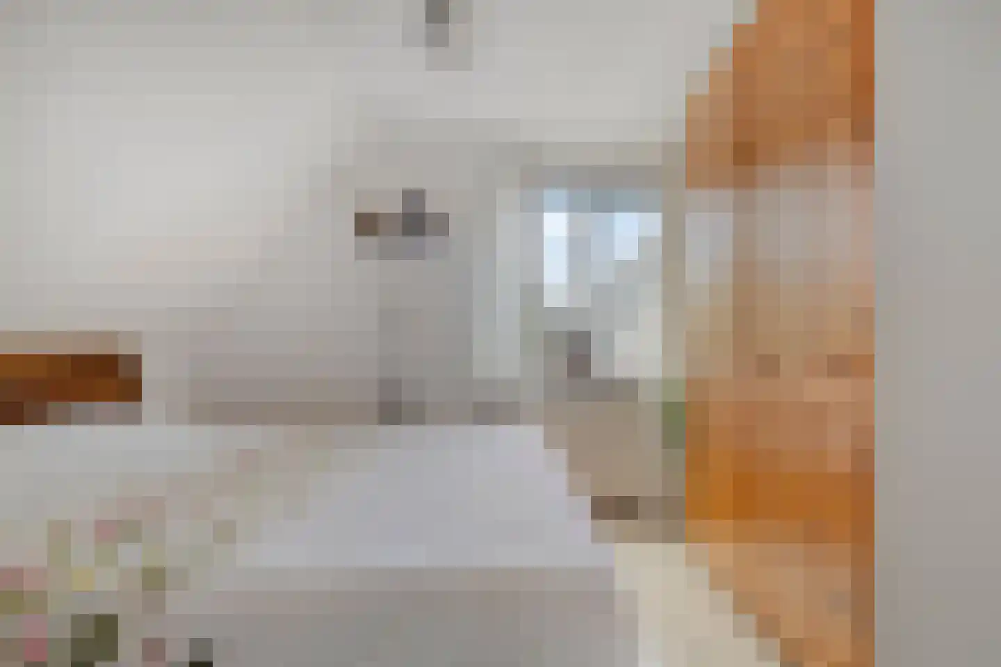 Hauwert 82 Hauwert thumbnail 17