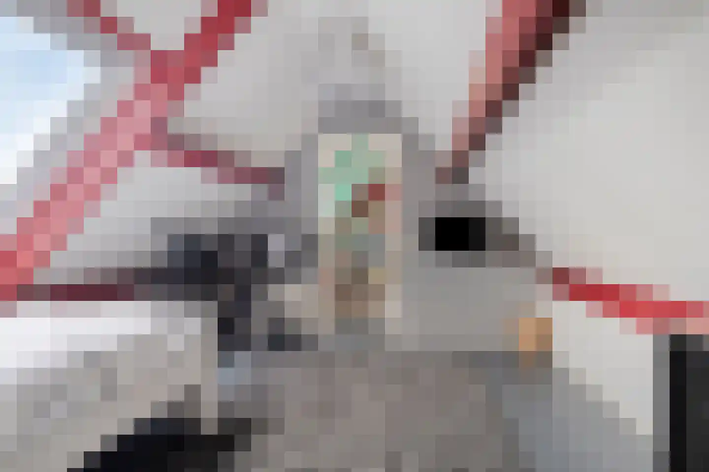 Hauwert 82 Hauwert thumbnail 22