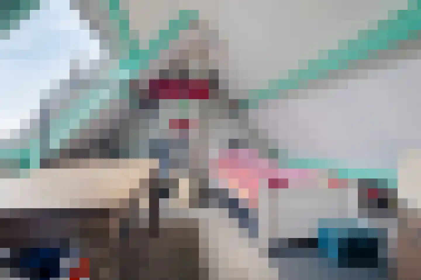 Hauwert 82 Hauwert thumbnail 23