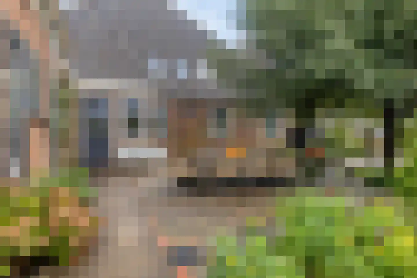 Hauwert 82 Hauwert thumbnail 24