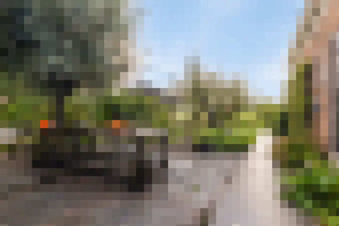 Hauwert 82 Hauwert thumbnail 25