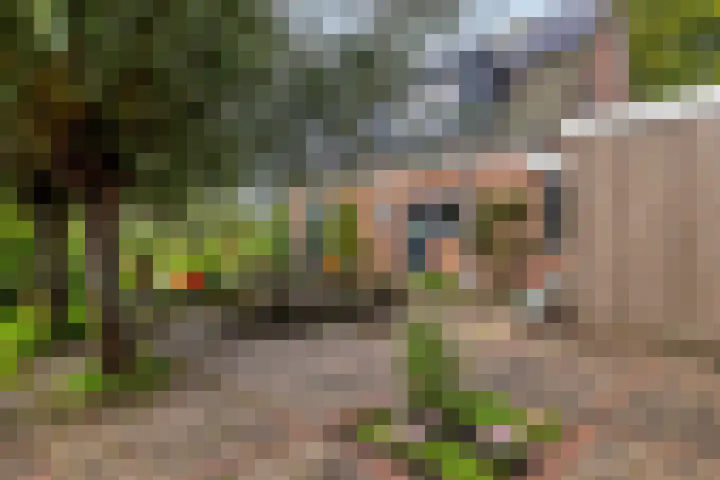 Hauwert 82 Hauwert thumbnail 26