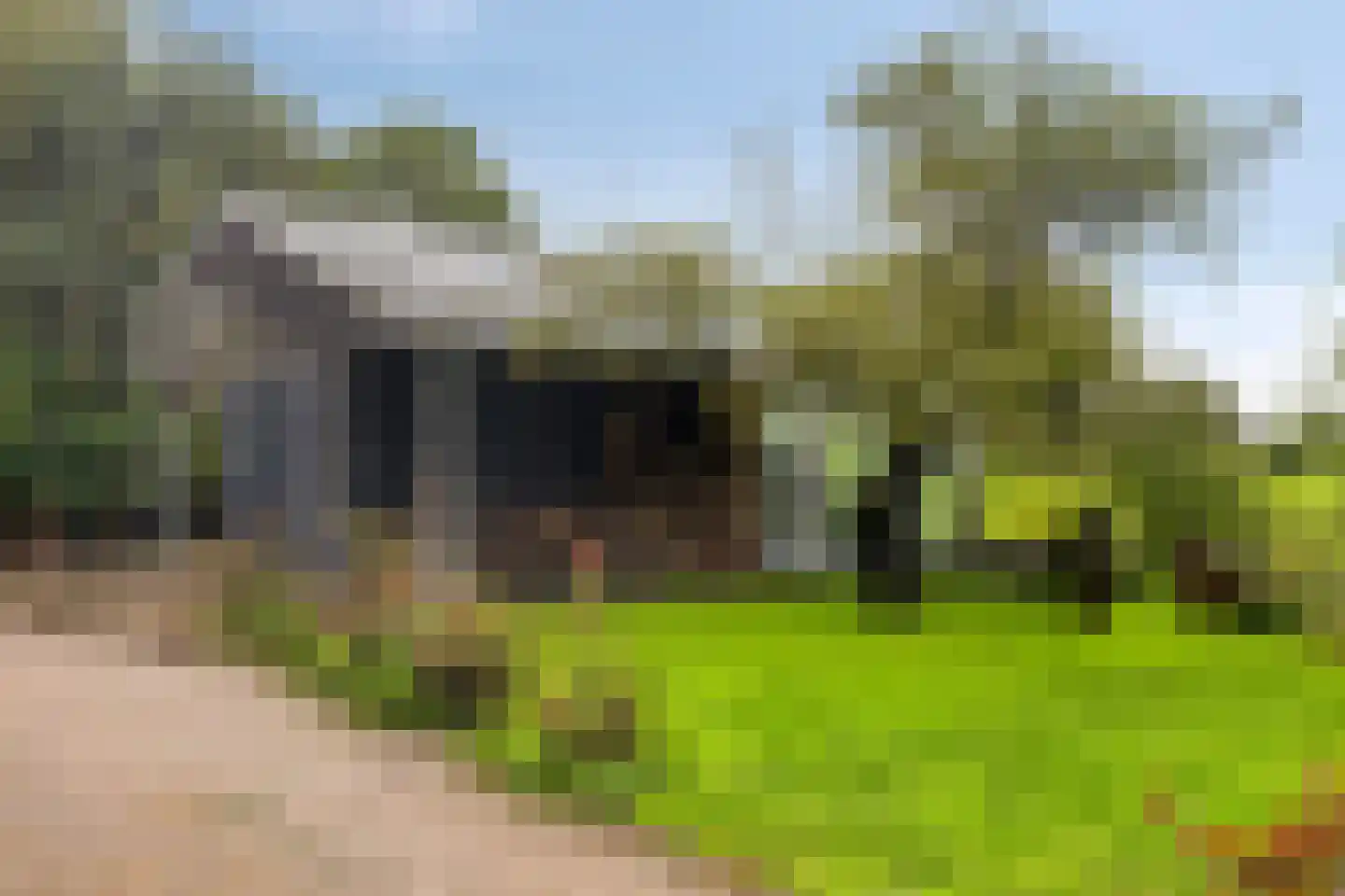 Hauwert 82 Hauwert thumbnail 28