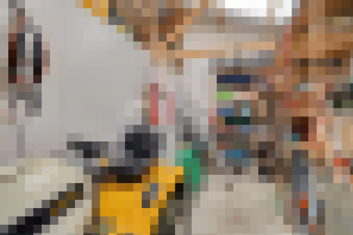 Hauwert 82 Hauwert thumbnail 31