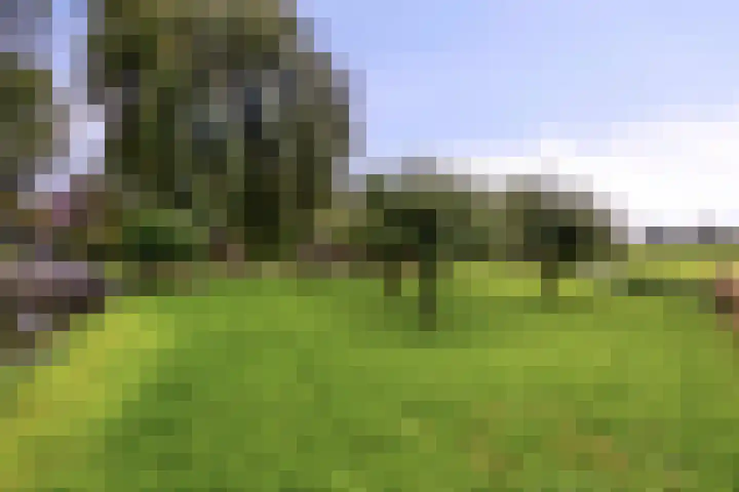 Hauwert 82 Hauwert thumbnail 33