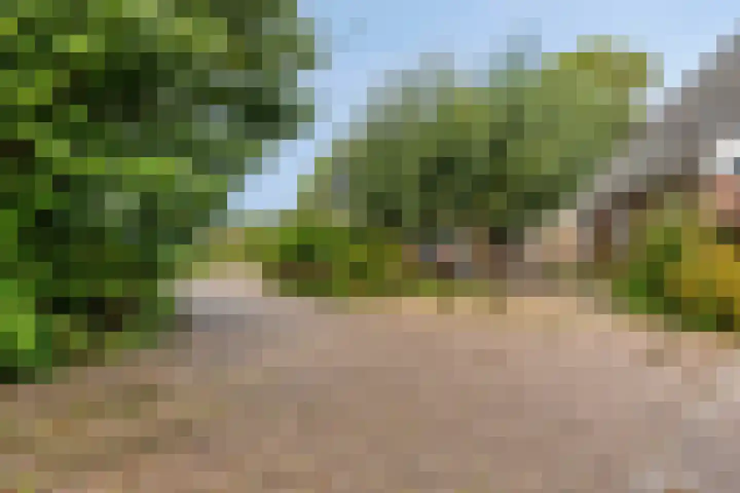 Hauwert 82 Hauwert thumbnail 36