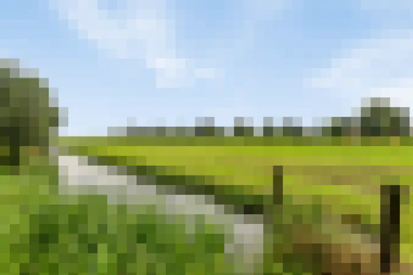 Hauwert 82 Hauwert thumbnail 37