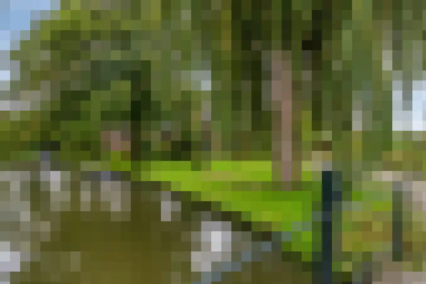 Hauwert 82 Hauwert thumbnail 38