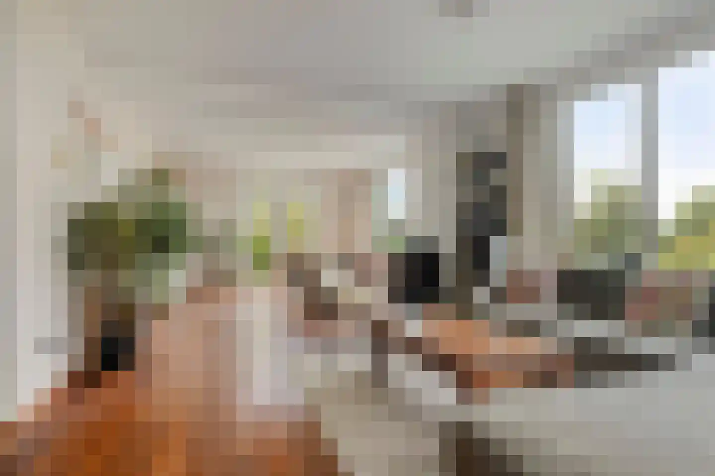 Hauwert 82 Hauwert thumbnail 4