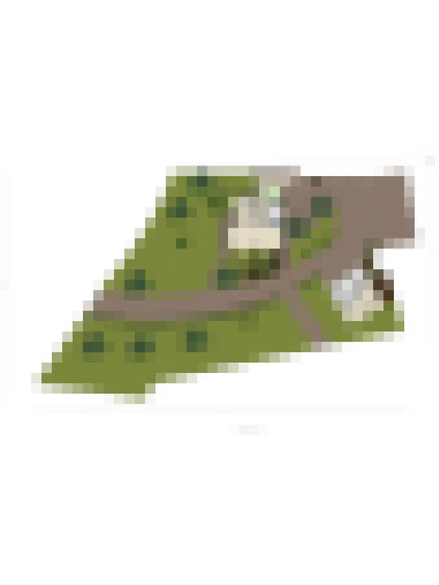Hauwert 82 Hauwert thumbnail 45