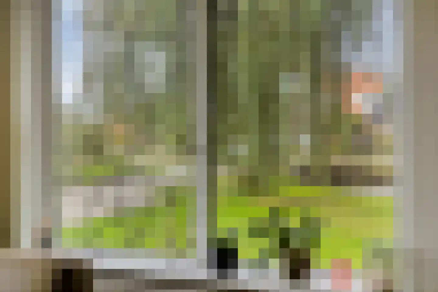 Hauwert 82 Hauwert thumbnail 7