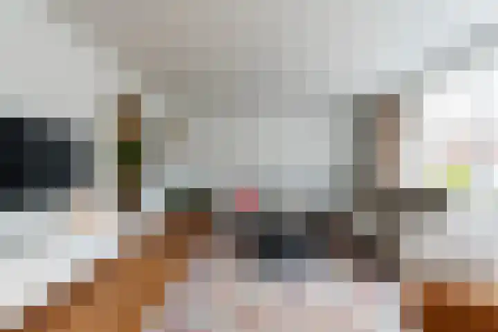 Hauwkes 8 Haarsteeg thumbnail 12