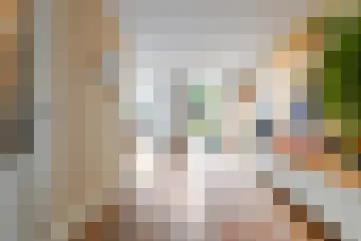 Hauwkes 8 Haarsteeg thumbnail 14