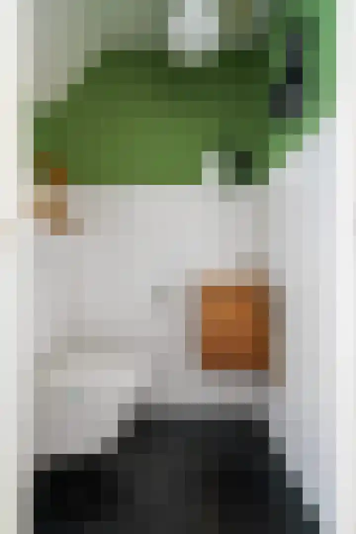 Hauwkes 8 Haarsteeg thumbnail 25